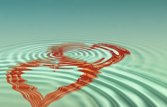 BoVegas Casino Podrška